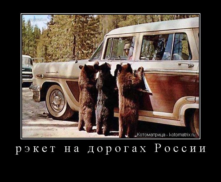 Котоматрица: рэкет на дорогах России 