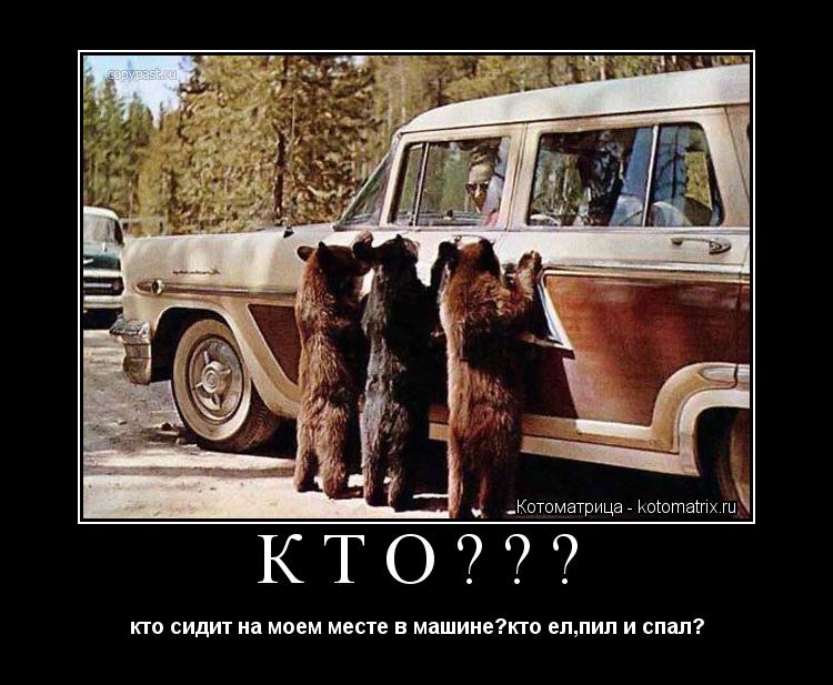 КТО??? кто сидит на моем месте в машине?кто ел,пил и спал?... Котоматрица: КТО??? кто сидит на моем месте в машине?кто ел,пил и спал?