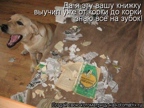 Да я эту вашу книжку выучил уже от корки до корки знаю все на зубок!... Котоматрица: Да я эту вашу книжку выучил уже от корки до корки знаю все на зубок!