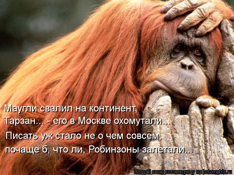 Тарзан... - его в Москве охомутали... Маугли свалил на континент, Писать уж стало не о чем совсем, по... Котоматрица: Тарзан... - его в Москве охомутали... Маугли свалил на континент, Писать уж стало не о чем совсем, почаще б, что ли, Робинзоны залетали...