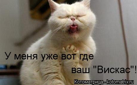 У меня уже вот где ваш "Вискас"!... Котоматрица: У меня уже вот где ваш "Вискас"!