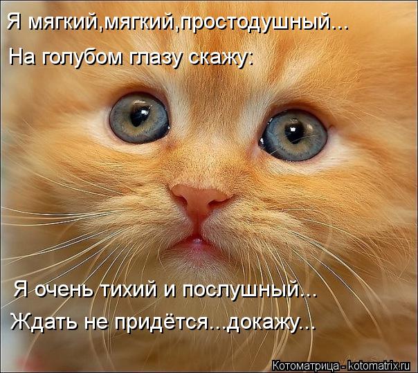 http://kotomatrix.ru/images/lolz/2013/06/15/kotomatritsa_7M.jpg