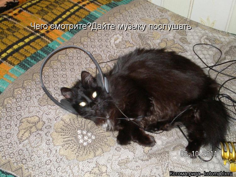 Чего смотрите?Дайте музыку послушать... Котоматрица: Чего смотрите?Дайте музыку послушать