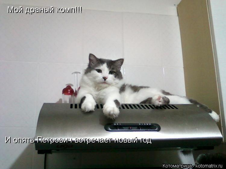 Мой драный комп!!! И опять Петрович встречает новый год... Котоматрица: Мой драный комп!!! И опять Петрович встречает новый год