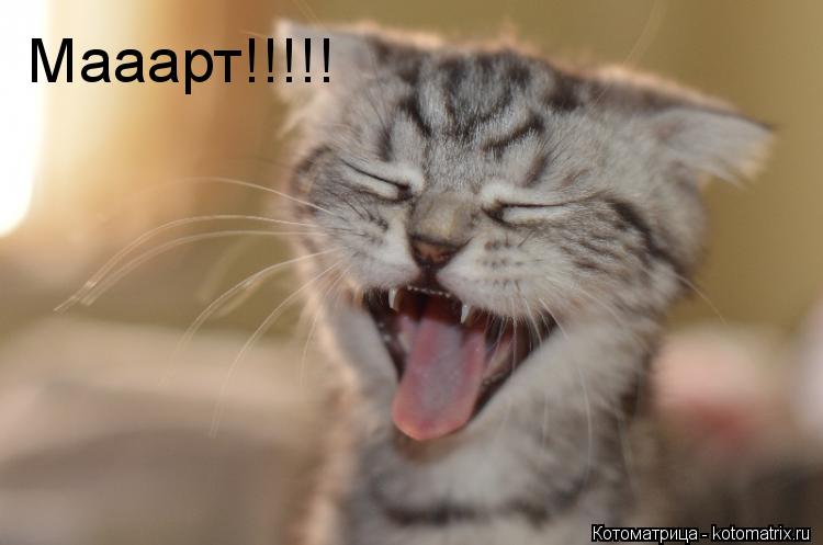 Котоматрица: Мааарт!!!!!