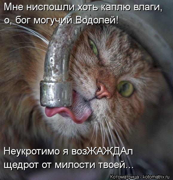 Мне ниспошли хоть каплю влаги, о, бог могучий Водолей! Неукротимо я возЖАЖДАл щедрот от милости твоей... Котоматрица: Мне ниспошли хоть каплю влаги, о, бог могучий Водолей! Неукротимо я возЖАЖДАл щедрот от милости твоей...