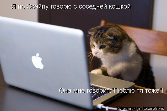 Я по Скайпу говорю с соседней кошкой Она мне говорит:"Люблю тя тоже"!... Котоматрица: Я по Скайпу говорю с соседней кошкой Она мне говорит:"Люблю тя тоже"!