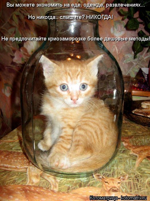 Котоматрица: Вы можете экономить на еде, одежде, развлечениях... Но никогда.. слышите? НИКОГДА!  Не предпочитайте криозаморозке более дешовые методы!