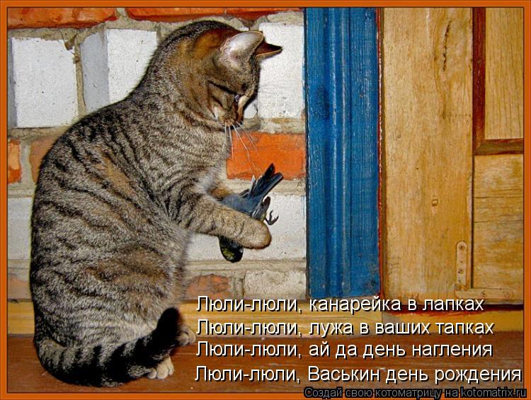 Котоматрица: Люли-люли, Васькин день рождения Люли-люли, лужа в ваших тапках Люли-люли, канарейка в лапках Люли-люли, ай да день нагления