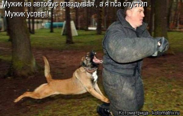 Котоматрица: Мужик на автобус опаздывал , а я пса спустил . Мужик успел !