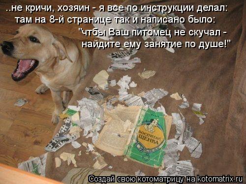 Котоматрица: ..не кричи, хозяин - я все по инструкции делал: там на 8-й странице так и написано было: "чтбы Ваш питомец не скучал - найдите ему занятие по душе