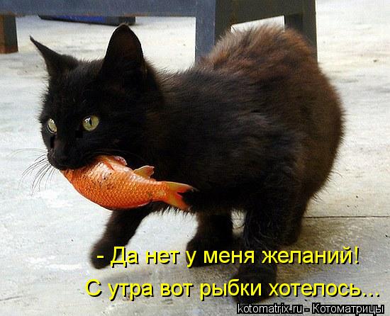 - Да нет у меня желаний! С утра вот рыбки хотелось...... Котоматрица: - Да нет у меня желаний! С утра вот рыбки хотелось...