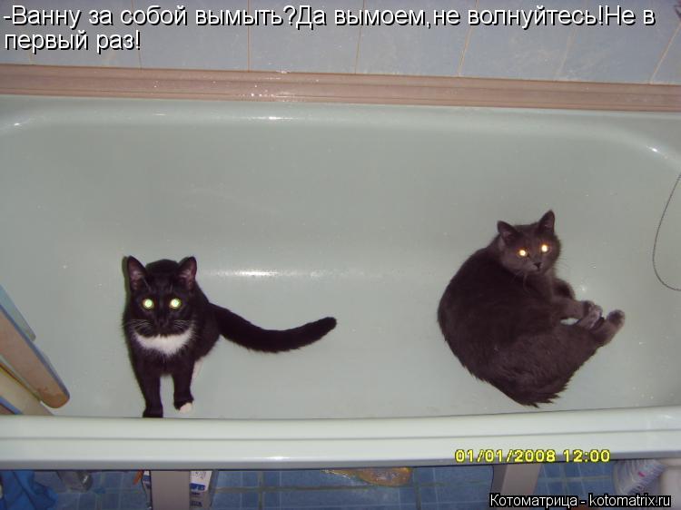 -Ванну за собой вымыть?Да вымоем,не волнуйтесь!Не в первый раз!... Котоматрица: -Ванну за собой вымыть?Да вымоем,не волнуйтесь!Не в первый раз!