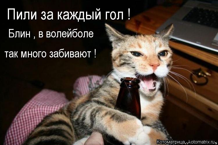 Котоматрица: Пили за каждый гол ! Блин , в волейболе   так много забивают !