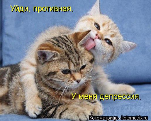 Уйди, противная. У меня депрессия.... Котоматрица: Уйди, противная. У меня депрессия.