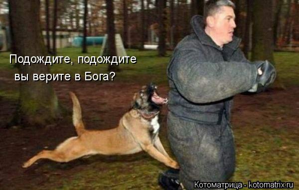 Подождите, подождите вы верите в Бога?... Котоматрица: Подождите, подождите вы верите в Бога?