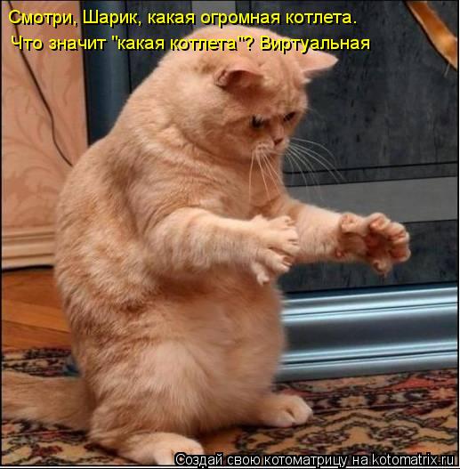 Смотри, Шарик, какая огромная котлета. Что значит "какая котлета"? Виртуальная... Котоматрица: Смотри, Шарик, какая огромная котлета. Что значит "какая котлета"? Виртуальная