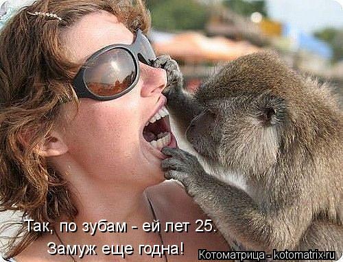 Так, по зубам - ей лет 25. Замуж еще годна! Замуж еще годна!... Котоматрица: Так, по зубам - ей лет 25. Замуж еще годна! Замуж еще годна!
