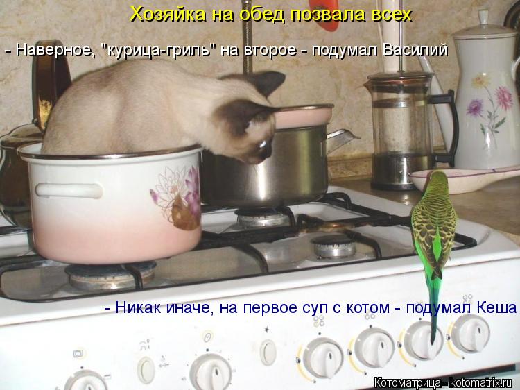 Хозяйка на обед позвала всех - Никак иначе, на первое суп с котом - подумал Кеша - Наверное, "курица-... Котоматрица: Хозяйка на обед позвала всех - Никак иначе, на первое суп с котом - подумал Кеша - Наверное, "курица-гриль" на второе - подумал Василий