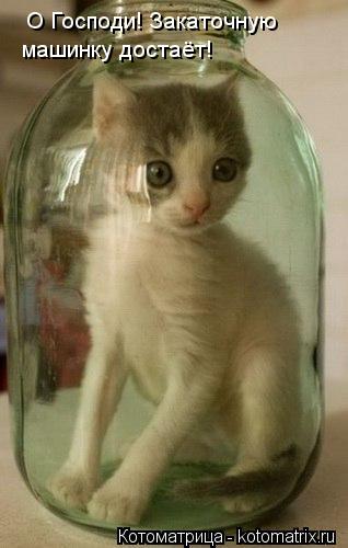 О Господи! Закаточную машинку достаёт!... Котоматрица: О Господи! Закаточную машинку достаёт!