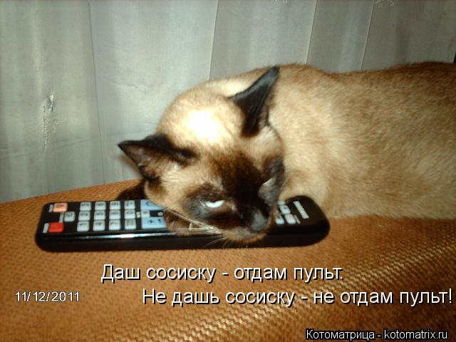 Даш сосиску - отдам пульт. Не дашь сосиску - не отдам пульт!... Котоматрица: Даш сосиску - отдам пульт. Не дашь сосиску - не отдам пульт!