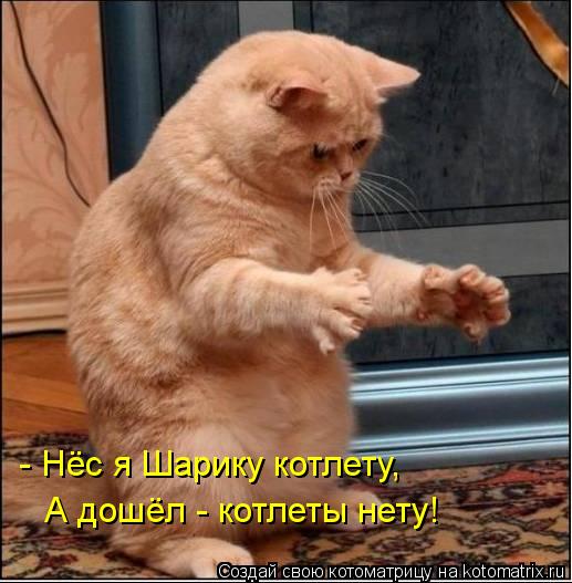 Котоматрица: - Нёс я Шарику котлету, А дошёл - котлеты нету!