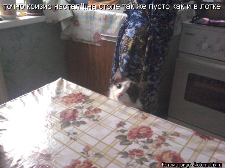 точно кризис настал!!!на столе так же пусто как и в лотке... Котоматрица: точно кризис настал!!!на столе так же пусто как и в лотке