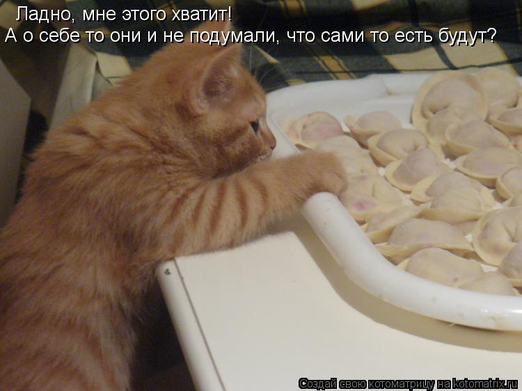 Котоматрица: Ладно, мне этого хватит!  А о себе то они и не подумали, что сами то есть будут?
