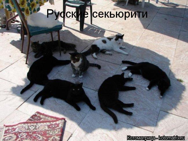 Русские секьюрити... Котоматрица: Русские секьюрити