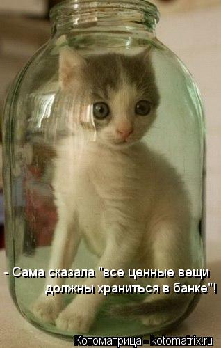 должны храниться в банке"! - Сама сказала "все ценные вещи... Котоматрица: должны храниться в банке"! - Сама сказала "все ценные вещи