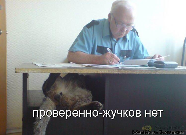 проверенно-жучков нет... Котоматрица: проверенно-жучков нет