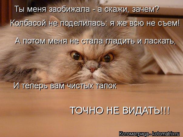 Ты меня заобижала - а скажи, зачем? Колбасой не поделилась: я же всю не съем! А потом меня не стала г... Котоматрица: Ты меня заобижала - а скажи, зачем? Колбасой не поделилась: я же всю не съем! А потом меня не стала гладить и ласкать, И теперь вам чистых тапок
