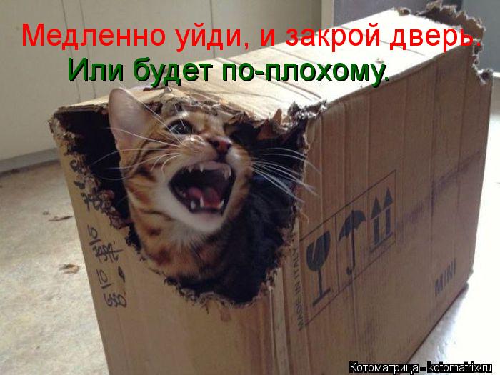 Котоматрица: Медленно уйди, и закрой дверь. Или будет по-плохому.