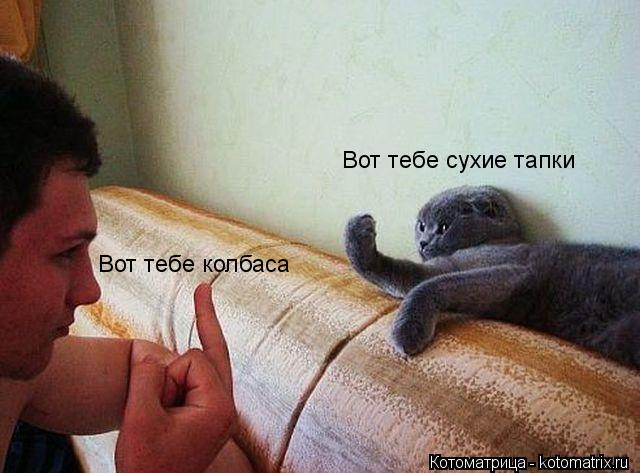 Вот тебе колбаса Вот тебе сухие тапки... Котоматрица: Вот тебе колбаса Вот тебе сухие тапки