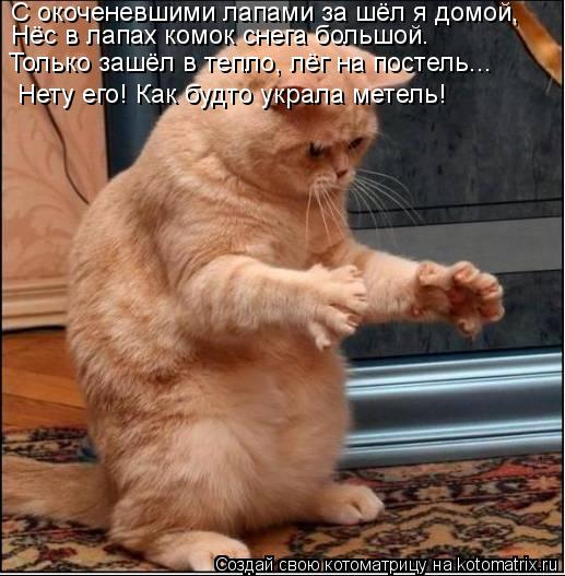 С окоченевшими лапами за шёл я домой, Нёс в лапах комок снега большой. Только зашёл в тепло, лёг на п... Котоматрица: С окоченевшими лапами за шёл я домой, Нёс в лапах комок снега большой. Только зашёл в тепло, лёг на постель... Нету его! Как будто украла метел