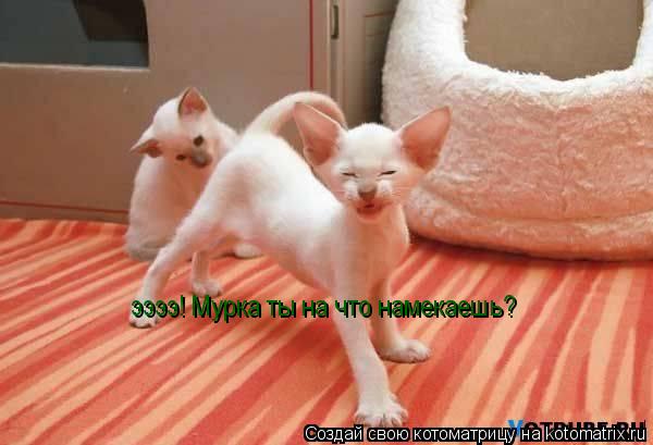 ээээ! Мурка ты на что намекаешь?... Котоматрица: ээээ! Мурка ты на что намекаешь?