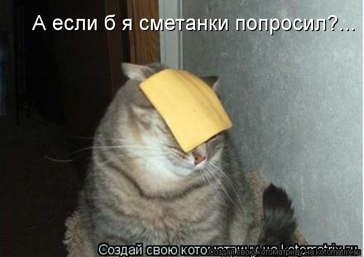 http://kotomatrix.ru/images/lolz/2013/06/15/kotomatritsa_vs.jpg