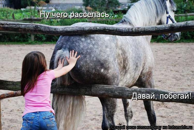 Давай, побегай! Давай, побегай! Ну чего расселась.. Ну чего расселась..... Котоматрица: Давай, побегай! Давай, побегай! Ну чего расселась.. Ну чего расселась..