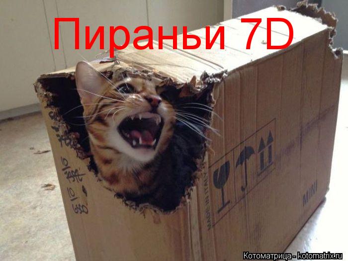 Пираньи 7D... Котоматрица: Пираньи 7D