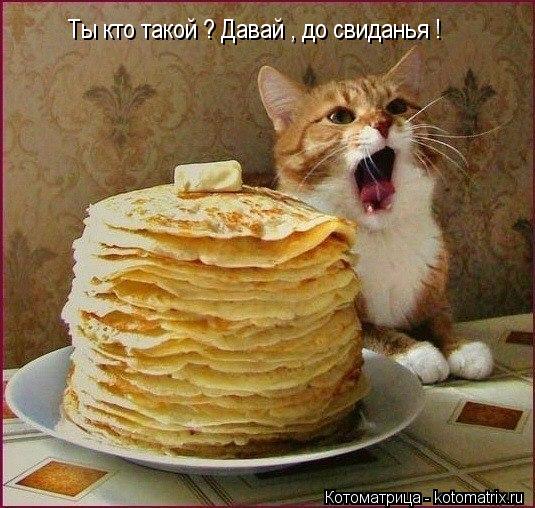 Котоматрица: Ты кто такой ? Давай , до свиданья !
