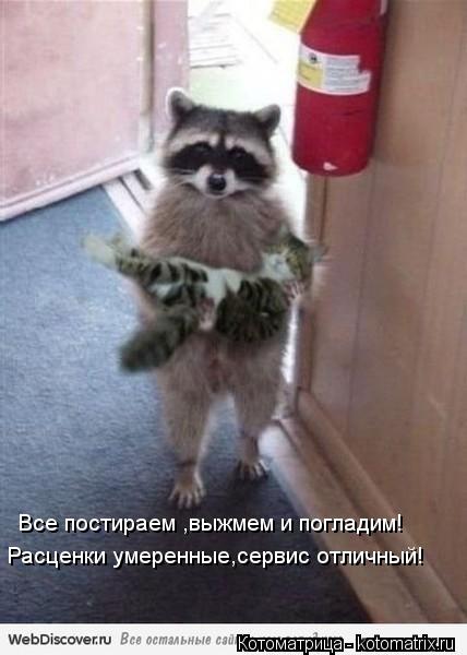 Все постираем ,выжмем и погладим! Расценки умеренные,сервис отличный!... Котоматрица: Все постираем ,выжмем и погладим! Расценки умеренные,сервис отличный!