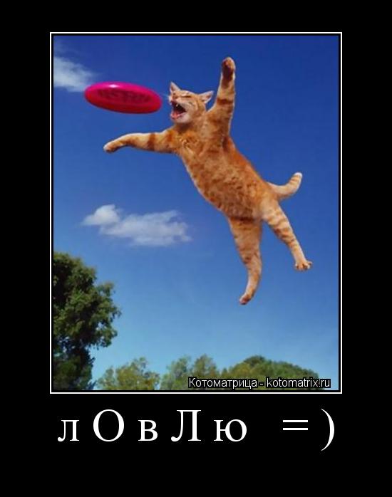лОвЛю =) ... Котоматрица: лОвЛю =)