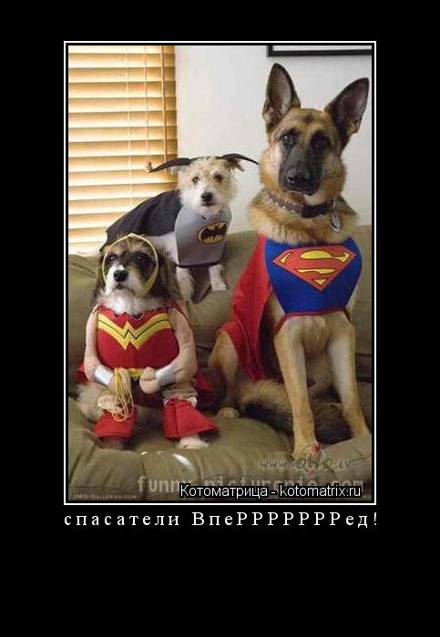 спасатели ВпеРРРРРРРед! ... Котоматрица: спасатели ВпеРРРРРРРед!