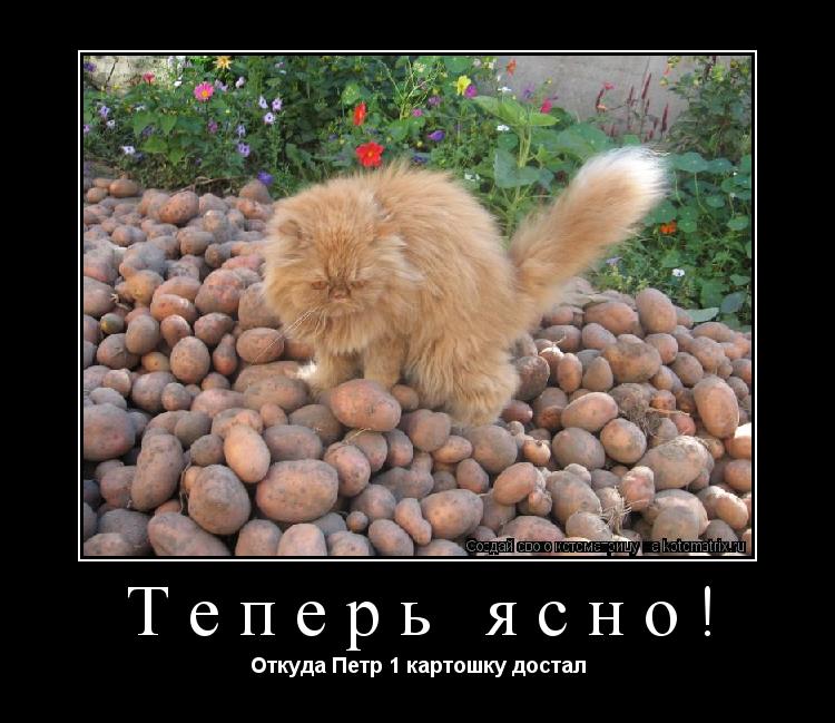 Теперь ясно! Откуда Петр 1 картошку достал... Котоматрица: Теперь ясно! Откуда Петр 1 картошку достал