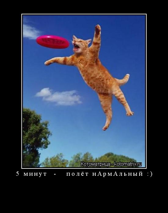5 минут - полёт нАрмАльный :) ... Котоматрица: 5 минут - полёт нАрмАльный :)
