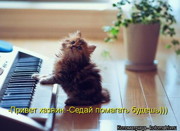 -Привет хазяин.-Седай помагать будешь)))... Котоматрица: -Привет хазяин.-Седай помагать будешь)))