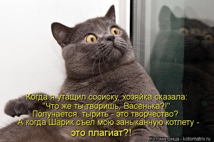 Когда я утащил сосиску, хозяйка сказала: "Что же ты творишь, Васенька?!" Получается, тырить - это тво... Котоматрица: Когда я утащил сосиску, хозяйка сказала: "Что же ты творишь, Васенька?!" Получается, тырить - это творчество? А когда Шарик съел мою заныканную