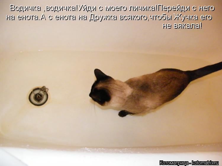 Водичка ,водичка!Уйди с моего личика!Перейди с него на енота.А с енота на Дружка всякого,чтобы Жучка ... Котоматрица: Водичка ,водичка!Уйди с моего личика!Перейди с него на енота.А с енота на Дружка всякого,чтобы Жучка его не вякала!