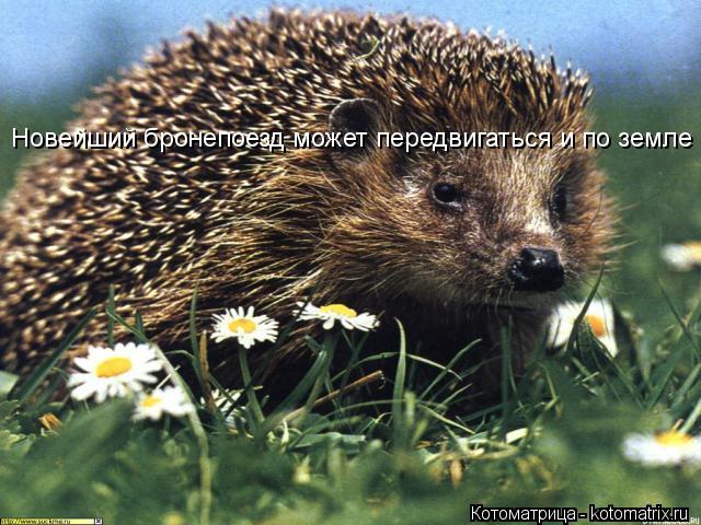 Новейший бронепоезд может передвигаться и по земле... Котоматрица: Новейший бронепоезд может передвигаться и по земле