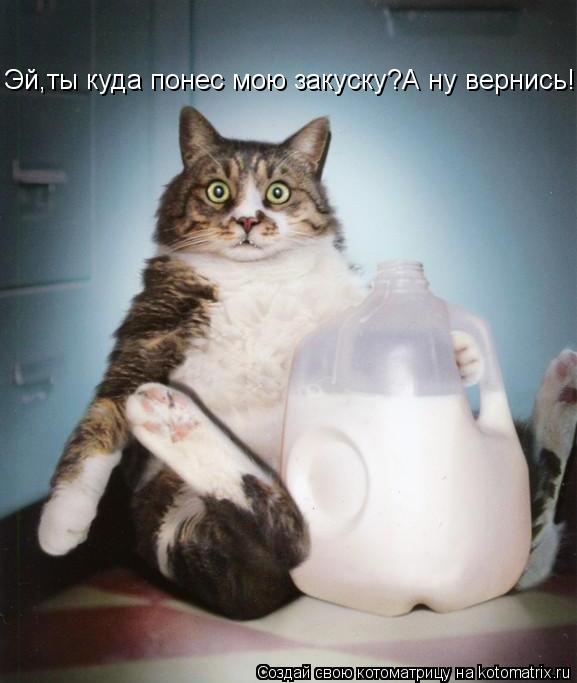 Эй,ты куда понес мою закуску?А ну вернись!... Котоматрица: Эй,ты куда понес мою закуску?А ну вернись!